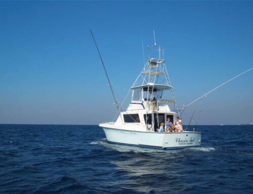 Spend the day Fishing in Jaco, Costa Rica