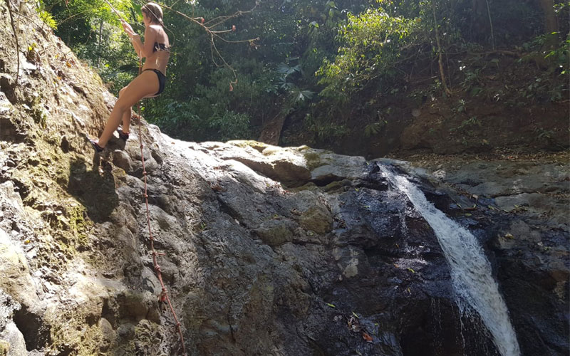 Waterfall Hike Tour, Crocodile Tour, Monkey Tour, Jaco Costa Rica