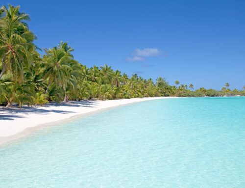 Exploring Paradise – The Ultimate Guide to a Tortuga Island Private Tour