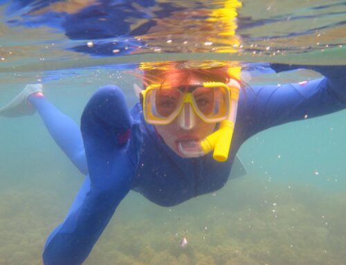Dive into the Ultimate Subwing Snorkel Tour from Jaco