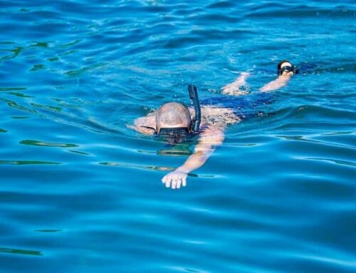 Snorkel Tour in Jaco: Discover the Underwater Magic with Subwing Costa Rica