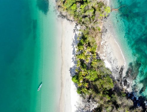 Tortuga Island Tour from Jaco: The Ultimate Tropical Escape with Subwing Costa Rica