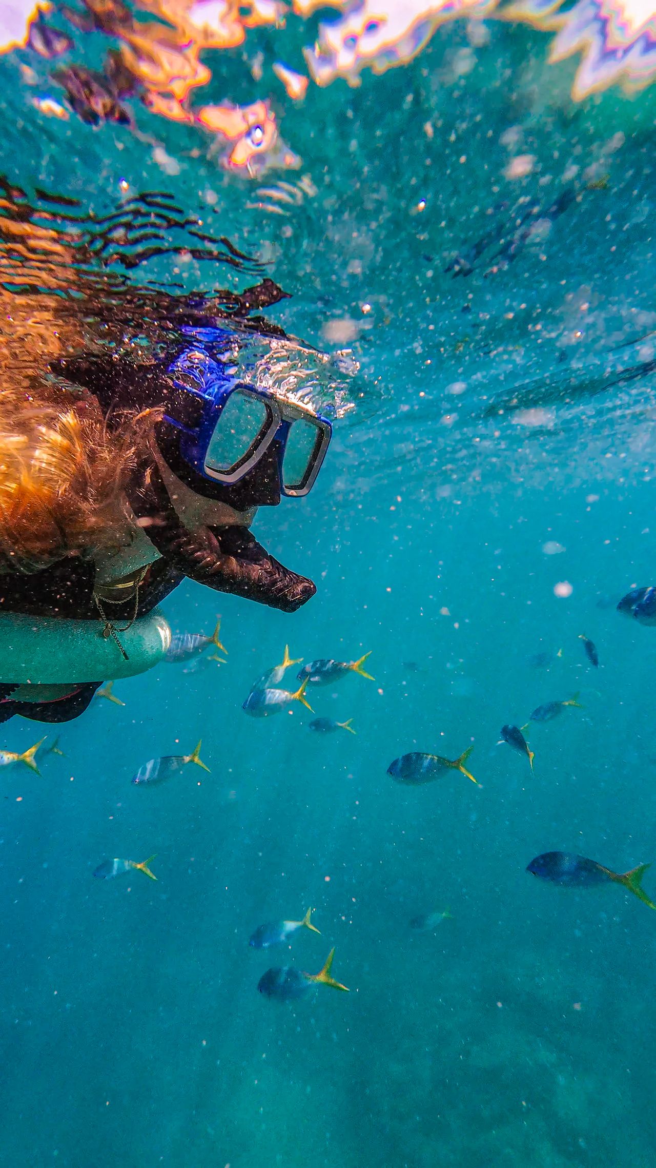 A Snorkeler’s Paradise